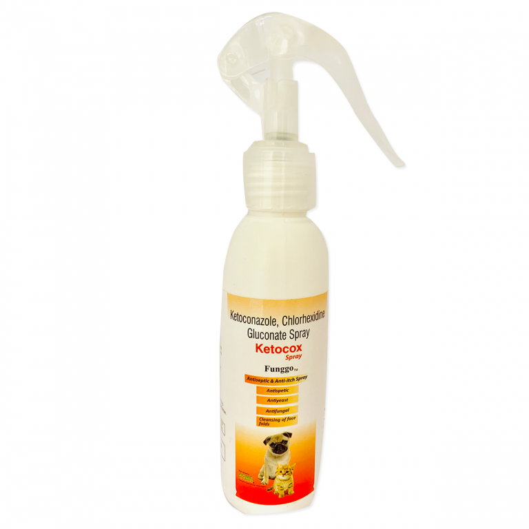 Shop Antiseptic and Anti Itch Spray for Cats Disinfecto